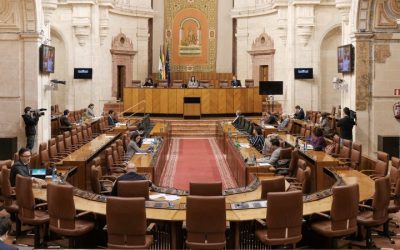 El Parlamento andaluz pide al Gobierno una ley por los derechos de las personas trans con el único rechazo de Vox