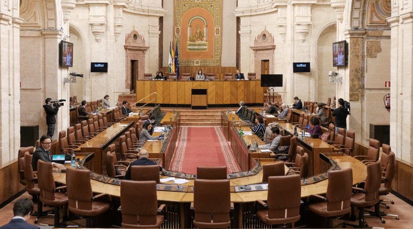 El Parlamento andaluz pide al Gobierno una ley por los derechos de las personas trans con el único rechazo de Vox