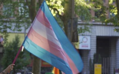 Una ley para vivir: la experiencia de la ley trans andaluza