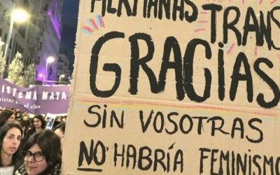 Ley Trans, seguridad jurídica y autodeterminación de la identidad sexual