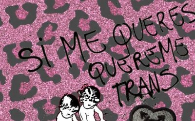 El ¿corto? invierno del transfeminismo: una reseña atrapada en una genealogía