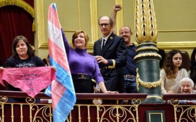 Entidades Trans lamentan la “tibieza” del PSOE en el debate de la ley y le piden “responsabilidad” para aprobarla