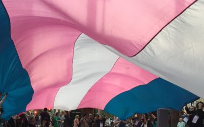 El Constitucional declara por primera vez que toda discriminación de las personas trans es ilegal